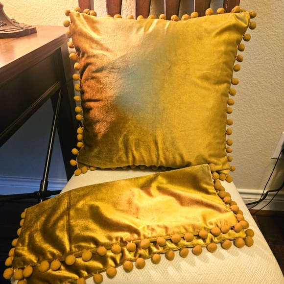 Other - Throw Pillow Cover